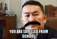  you are expelled from school
