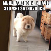 мышка...звони...иначе это уже затянулось... 