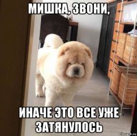 мишка, звони, иначе это все уже затянулось