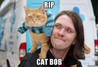 rip cat bob