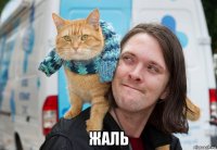  жаль