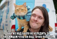  как же над было не уследить за любимцем чтоб он под тачку попал?!..