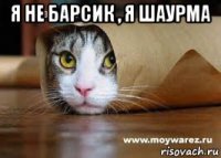 я не барсик , я шаурма 