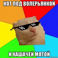 кот под волерьянкой и кашачей мятой