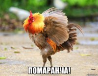  помаранча!