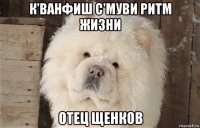 к'ванфиш с'муви ритм жизни отец щенков
