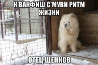 к'ванфиш с'муви ритм жизни отец щенков