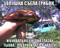 золушка съела грибок... и буквально у неё на глазах тыква - превратилась в карету!