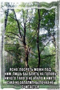  ясно..посрать можн под ним..лишь бы блять на голову ничего такого не упало и никто сука не запалил..белочка не считается