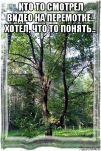 кто то смотрел видео на перемотке.. хотел, что то понять.. 