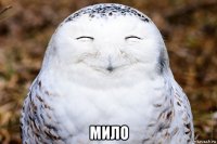  мило