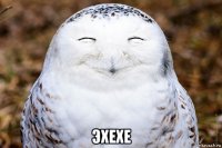  эхехе