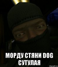  морду стяни dog сутулая