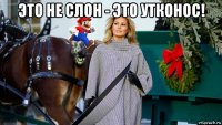 это не слон - это утконос! 