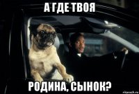 а где твоя родина, сынок?