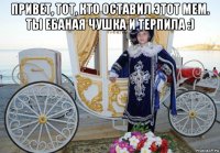 привет, тот, кто оставил этот мем. ты ебаная чушка и терпила :) 