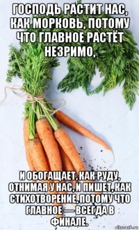 господь растит нас, как морковь, потому что главное растёт незримо, и обогащает, как руду, отнимая у нас, и пишет, как стихотворение, потому что главное — всегда в финале.