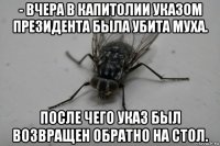 - вчера в капитолии указом президента была убита муха. после чего указ был возвращен обратно на стол.