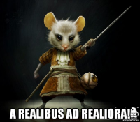  a realibus ad realiora!