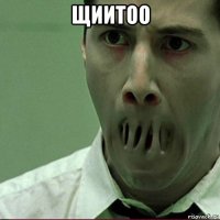 щиитоо 