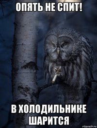 опять не спит! в холодильнике шарится