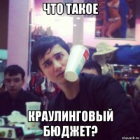 что такое краулинговый бюджет?