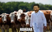  hahaha