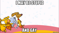 i may be stupid and gay