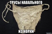 трусы навального из норки