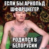 если бы арнольд шфарцнегер родился в белорусии