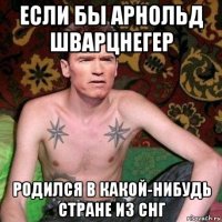 если бы арнольд шварцнегер родился в какой-нибудь стране из снг