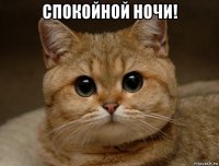 спокойной ночи! 