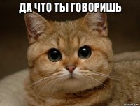 да что ты говоришь 