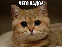 чего надо? 