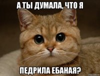 а ты думала, что я педрила ебаная?