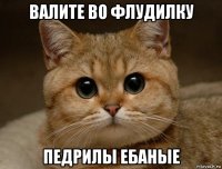 валите во флудилку педрилы ебаные