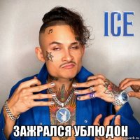  зажрался ублюдон