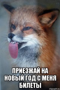  приезжай на новый год с меня билеты