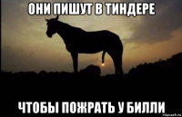 они пишут в тиндере чтобы пожрать у билли