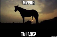 мурик ты где?