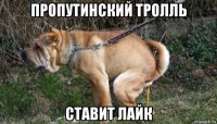 пропутинский тролль ставит лайк
