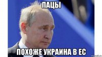 пацы похоже украина в ес