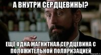 а внутри сердцевины? ещё одна магнитная сердцевина с положительной поляризацией