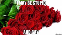 i may be stupid and gay