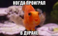 когда проиграл в дураке