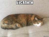 бусялити 