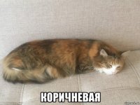  коричневая