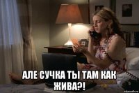  але сучка ты там как жива?!