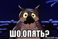  шо,опять?