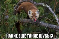  какие ещё такие шубы?